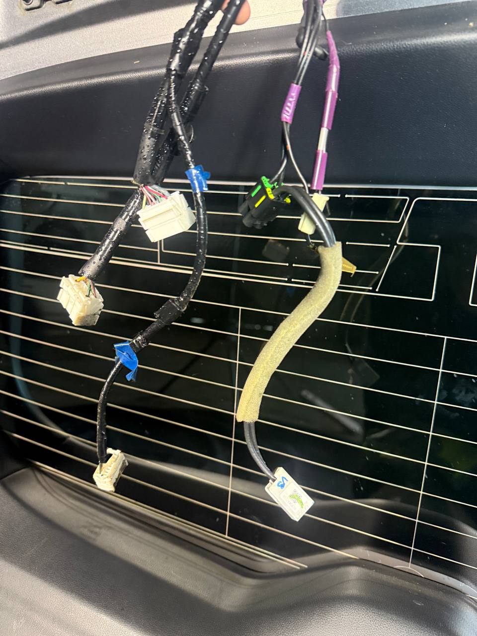 Trunk Ascent 2019